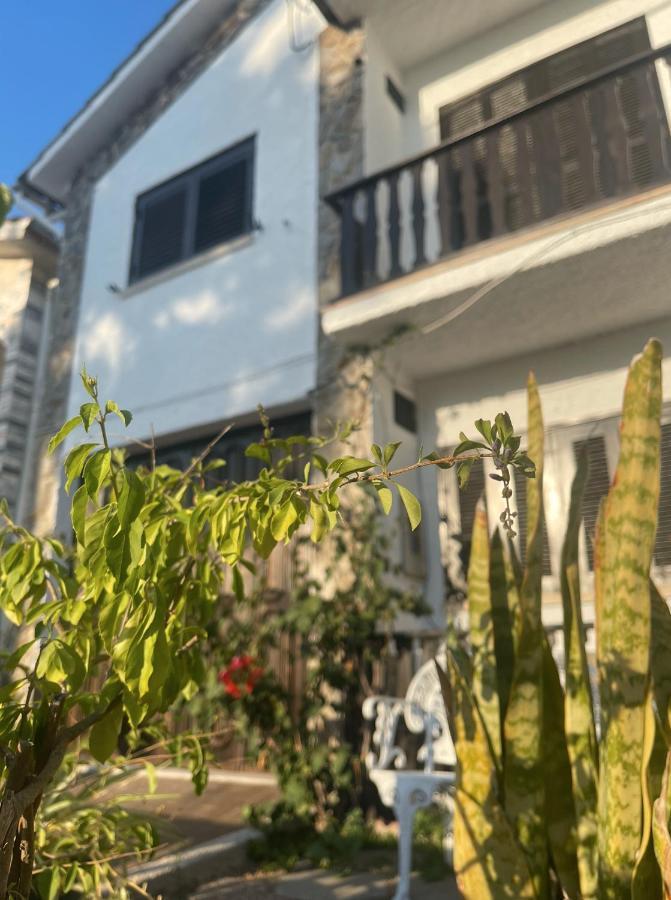 Nina'S Stay Hostel シャルネカ エクステリア 写真